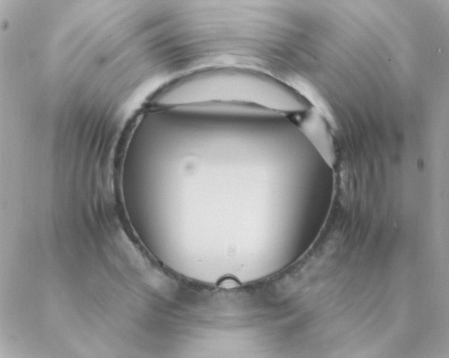 X0000088660972200706152028