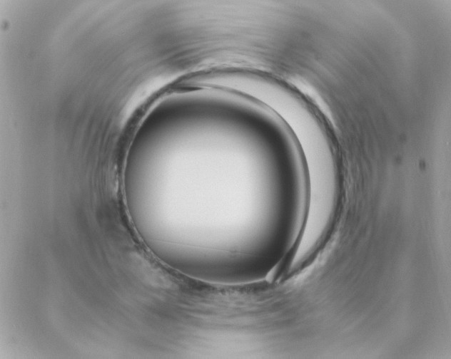 X0000088660973200706152028