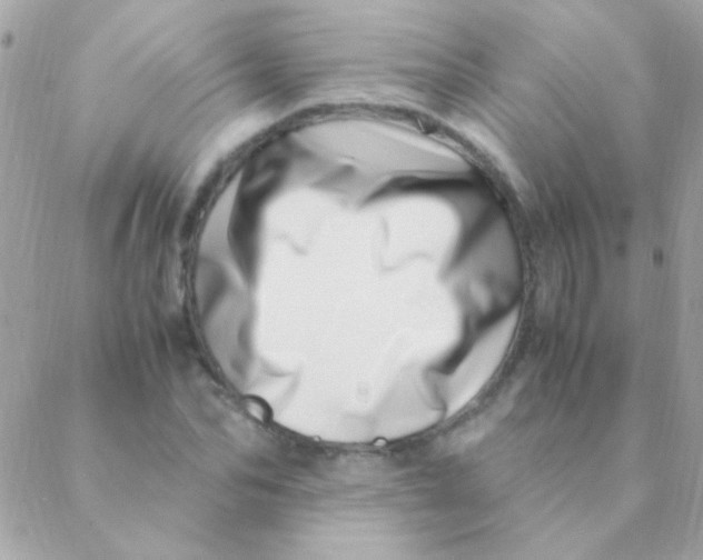 X0000088660974200706152028