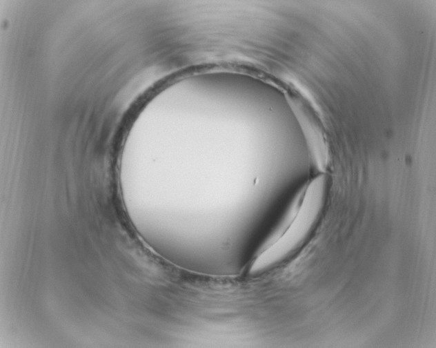 X0000088660975200706152028