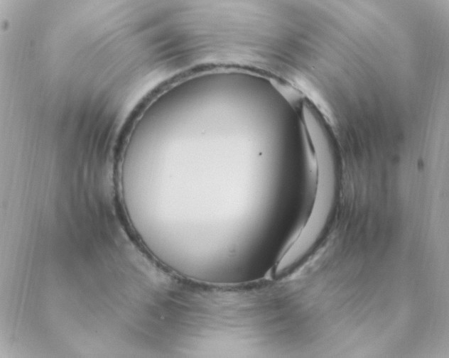 X0000088660976200706152028