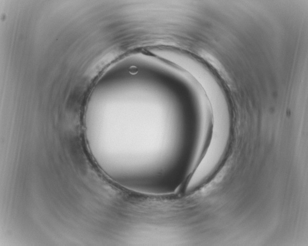 X0000088660977200706152028