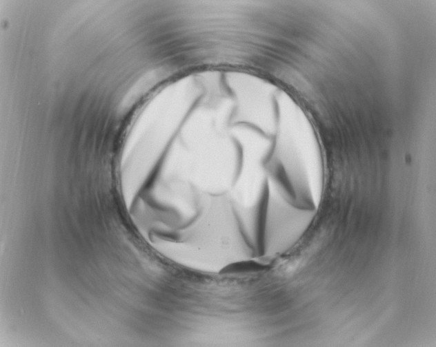 X0000088660978200706152028