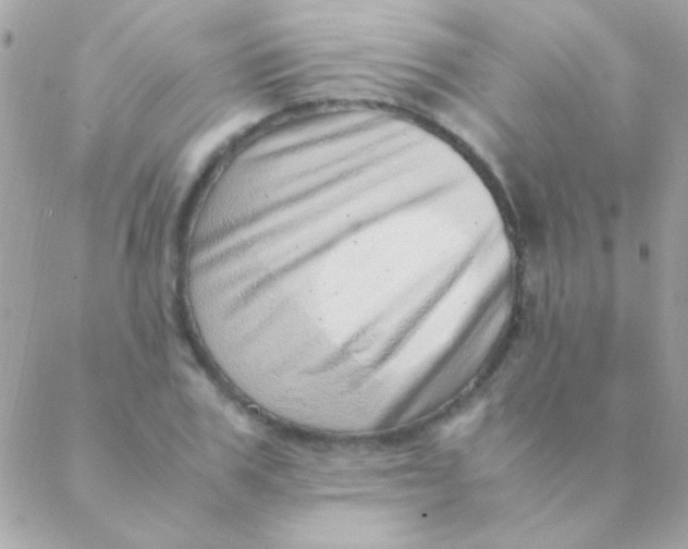 X0000088660979200706152028