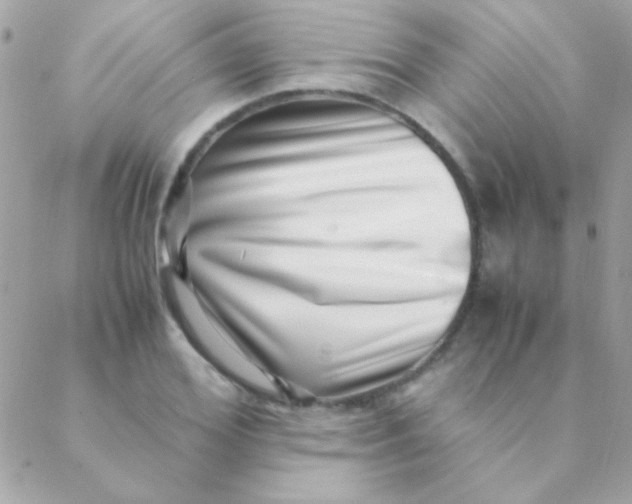 X0000088660980200706152028