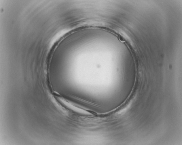 X0000088660981200706152028