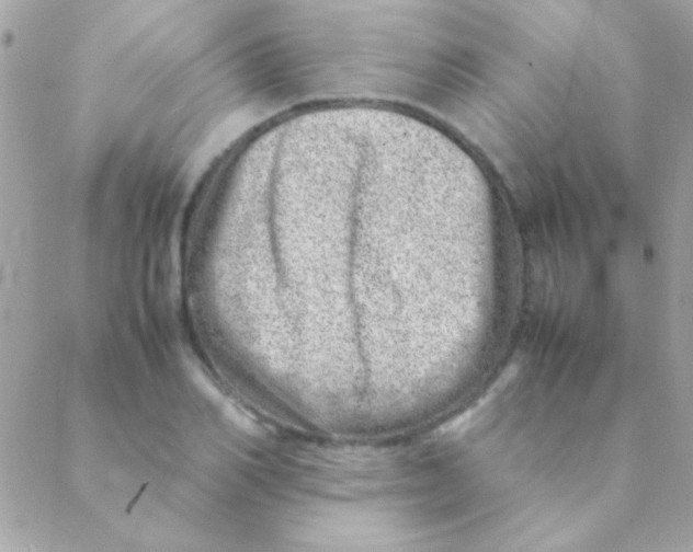 X0000088660982200706152028