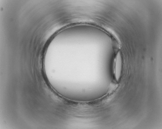 X0000088660983200706152028