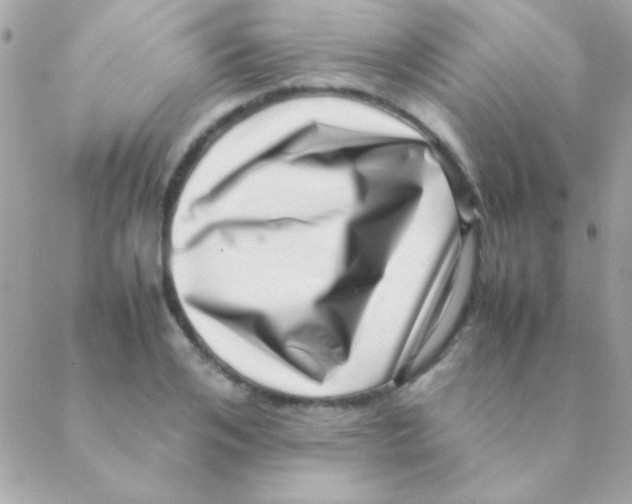 X0000088660984200706152028