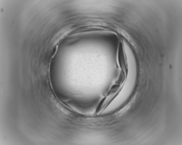 X0000088660985200706152028