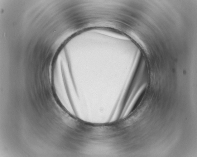 X0000088660988200706152028