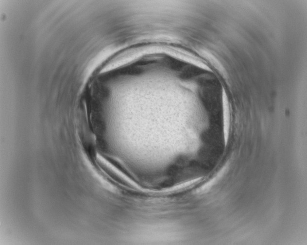 X0000088660989200706152028