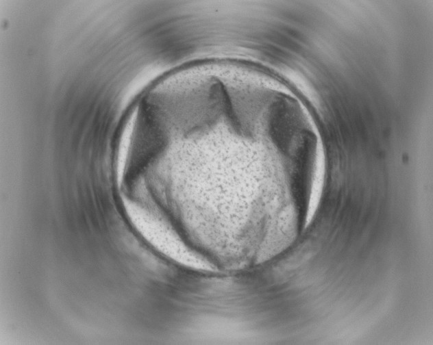 X0000088660990200706152028