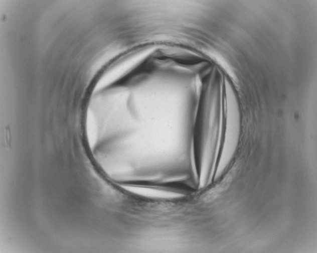 X0000088660991200706152028