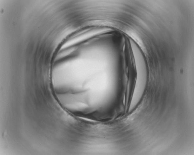 X0000088660992200706152028