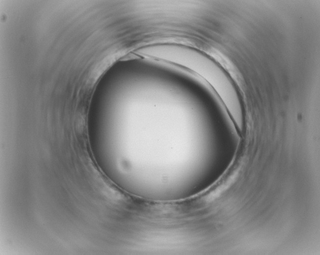 X0000088660993200706152028