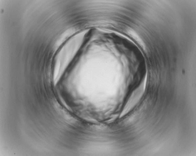 X0000088660994200706152028