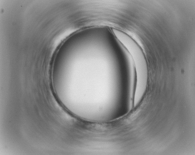 X0000088660995200706152028