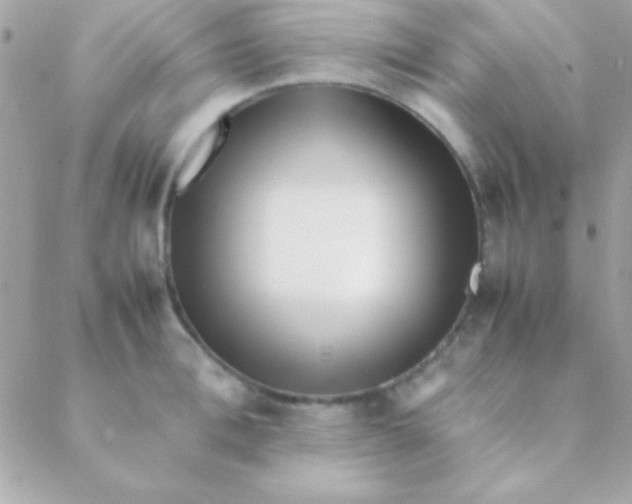 X0000088660996200706152028