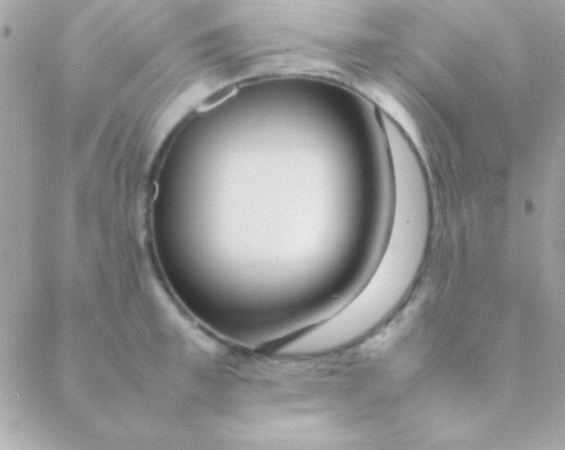 X0000088660997200706152028