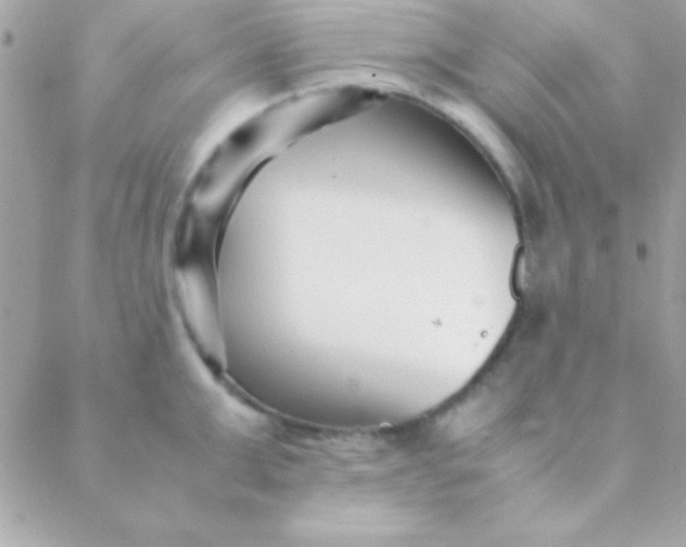 X0000088660999200706152028