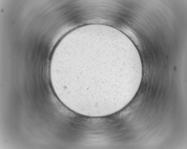 X0000088661000200706152028