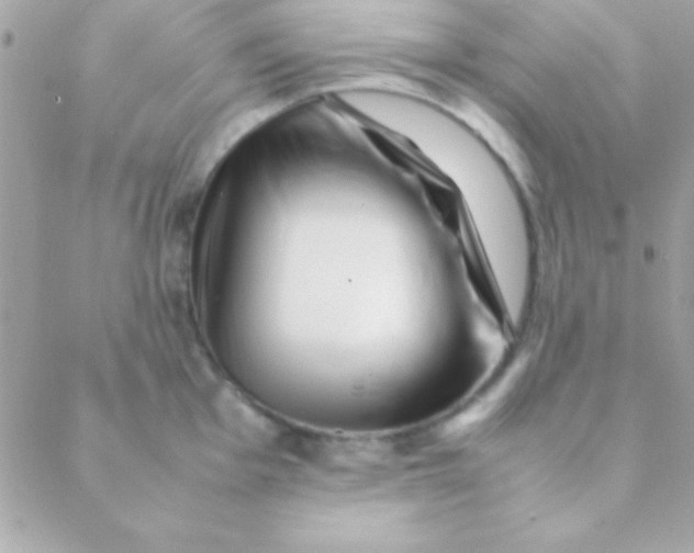 X0000088661001200706152028