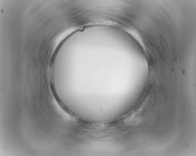 X0000088661003200706152028