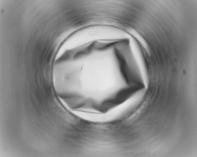 X0000088661004200706152028