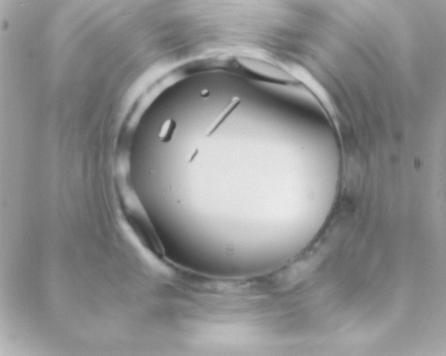 X0000088661005200706152028