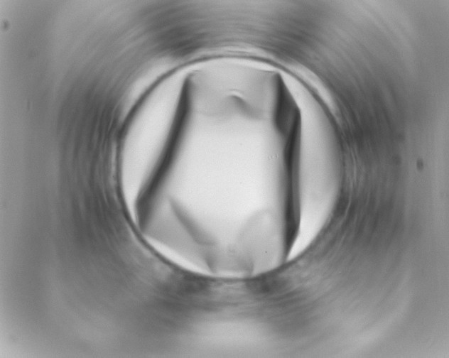 X0000088661006200706152028