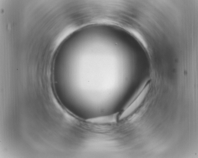 X0000088661007200706152028