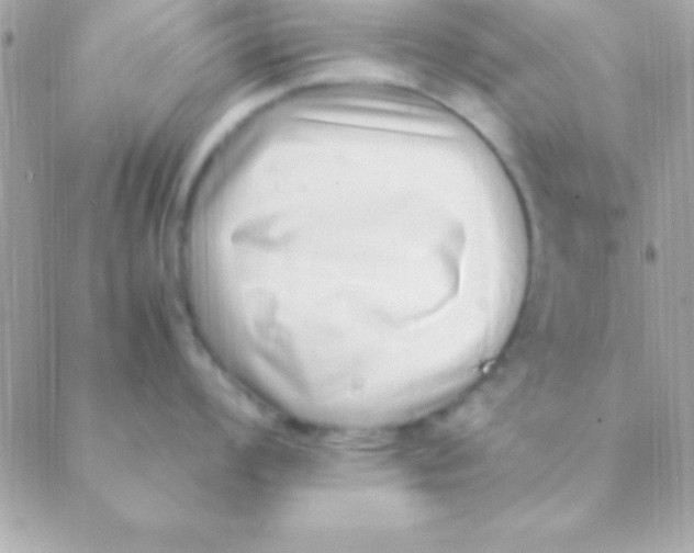 X0000088661008200706152028