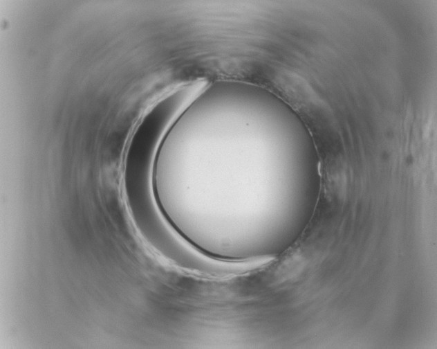 X0000088661010200706152027