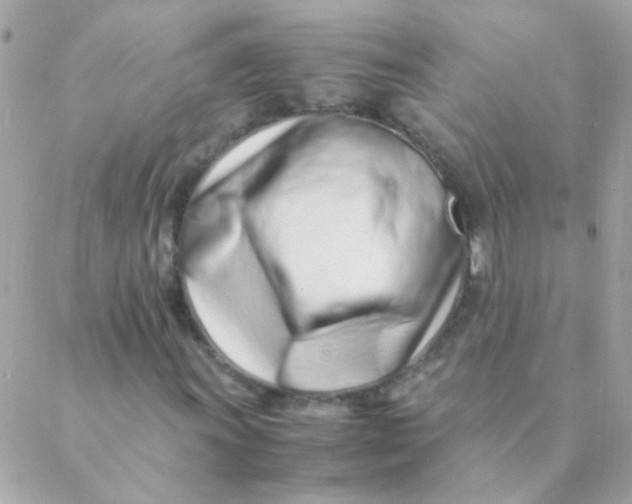 X0000088661011200706152027