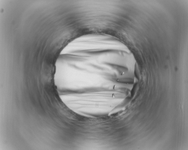 X0000088661012200706152027