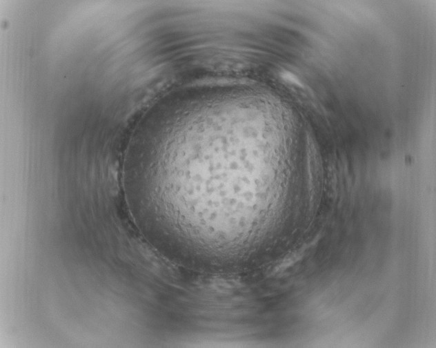 X0000088661013200706152027