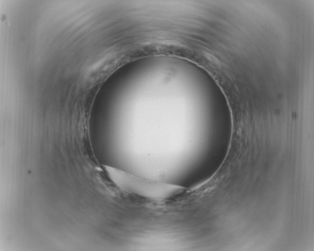 X0000088661014200706152027