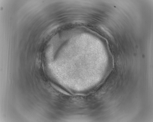 X0000088661015200706152027