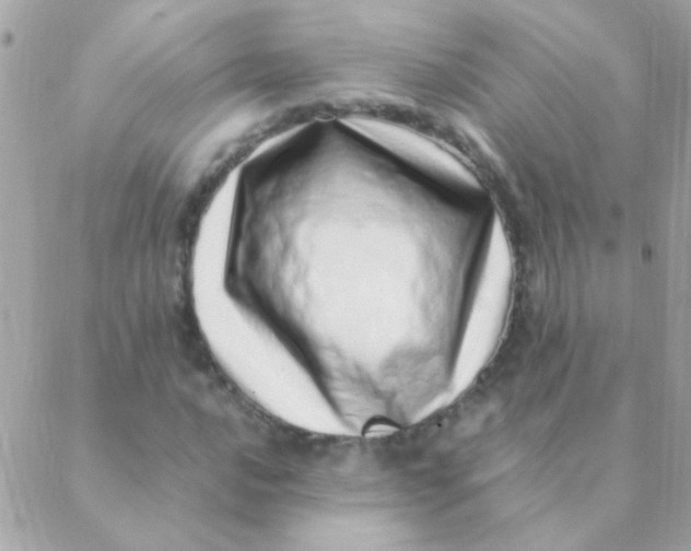 X0000088661016200706152027