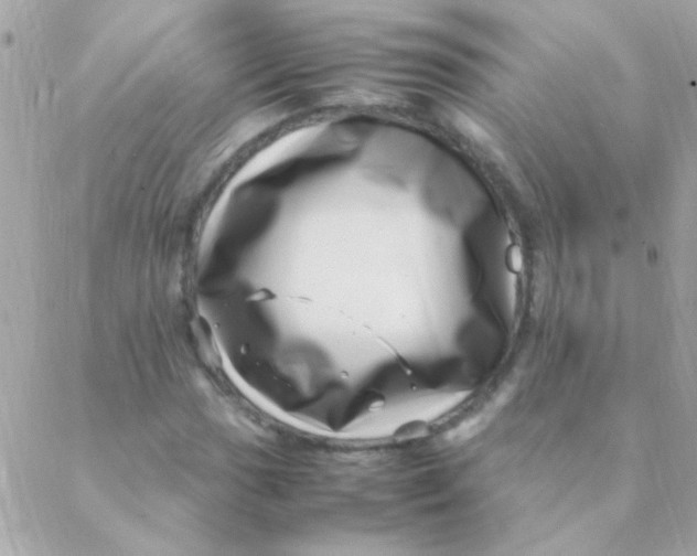 X0000088661017200706152027