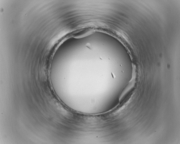 X0000088661018200706152027