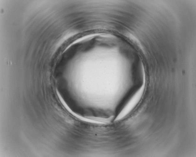 X0000088661019200706152027