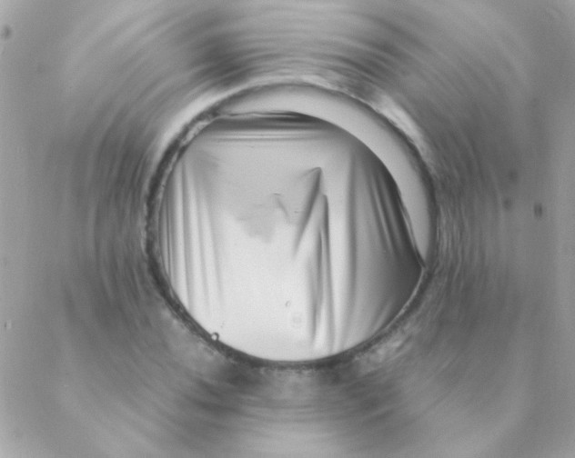 X0000088661020200706152027