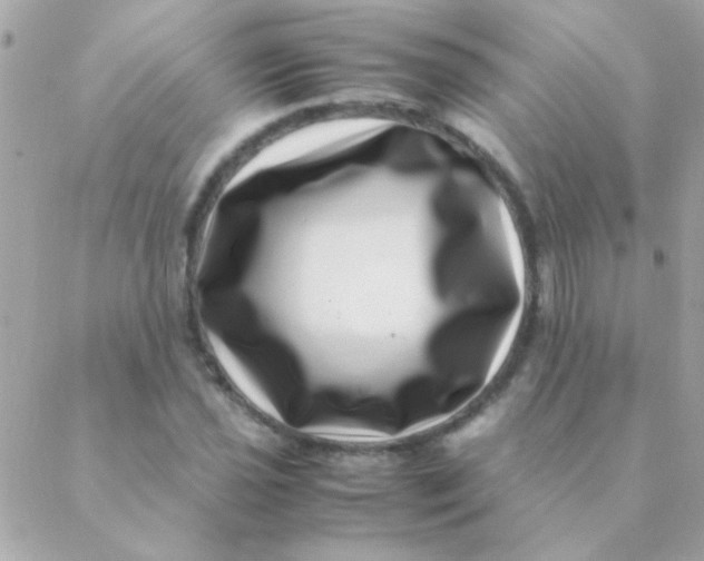 X0000088661021200706152027