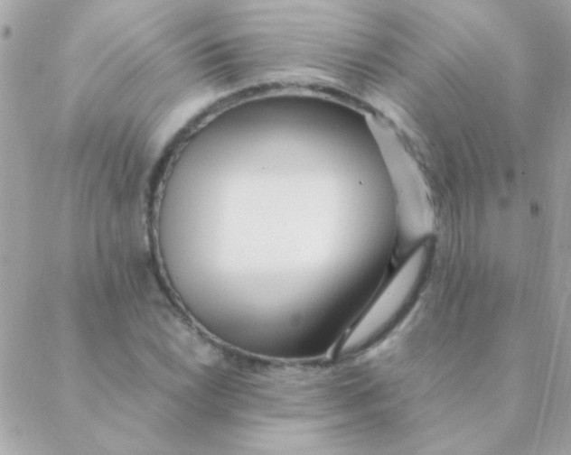 X0000088661022200706152027