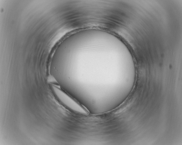 X0000088661023200706152027