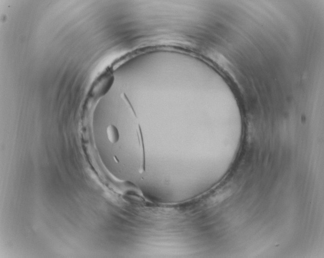 X0000088661024200706152027