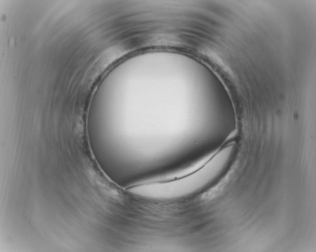 X0000088661025200706152027