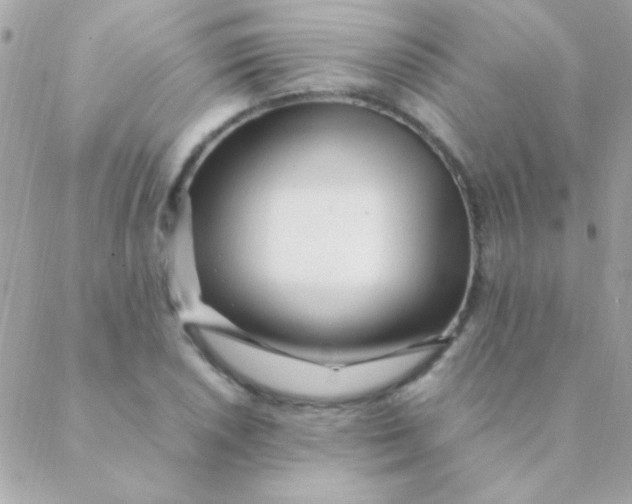 X0000088661026200706152027